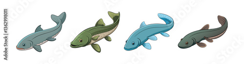 Set of Realistic Australian Lungfish Illustration with Color