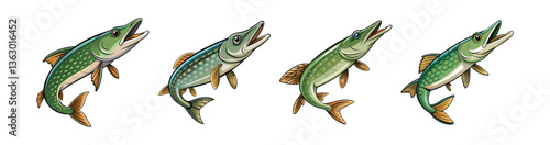 Set of  Vivid Wavyback Pike Fish Illustration with Realistic Colors