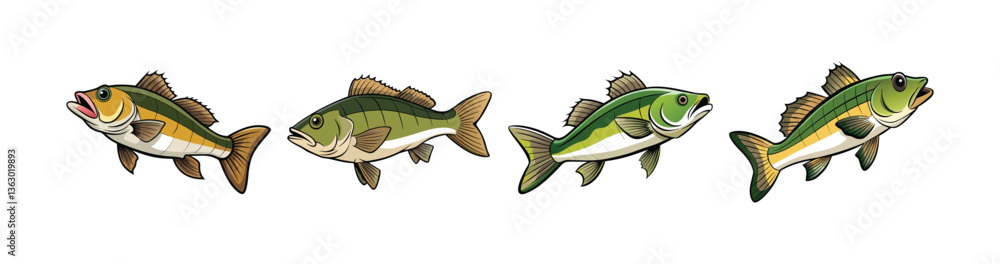 Set of Elegant Wildbreeze Bass Fish Realistic Design Set of Elegant Wildbreeze Bass Fish Realistic Design
