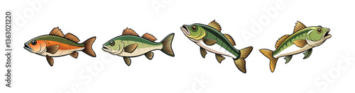 Set of Beautiful Windcatch Bass Fish Realistic Art