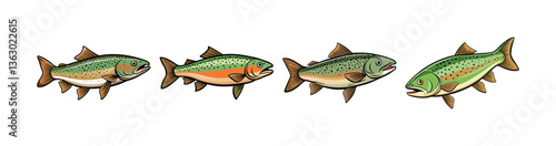 Set of Lifelike Wisenedfin Trout Fish Realistic Art