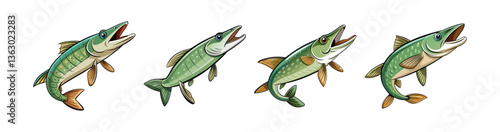 Set of Charming Wondering Pike Fish Realistic Artwork