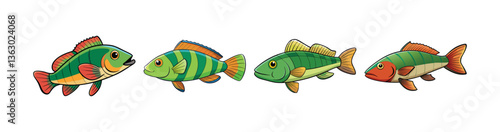 Set of  Elegant Wrassefish Realistic Art Presentation
