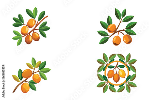 Orange fruits on green leafy branches nature illustration, Branch with ripe argan fruits vector illustration