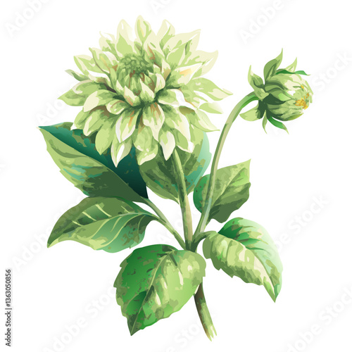 Dahlia Blossom in Bloom: A stunning close-up of a single, delicate dahlia flower, showcasing its intricate petals and vibrant details. An embodiment of elegance, the dahlia flourishes.