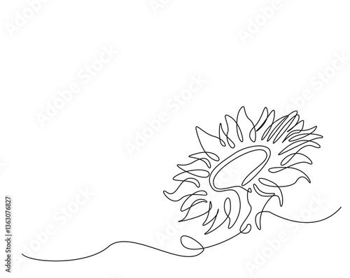Sunflower outline drawing illustration. one continuous line drawing of sun flower.