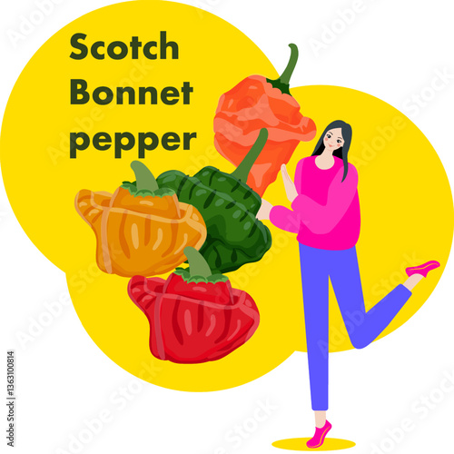 A woman holds Scotch Bonnet pepper. or Jamaican pepper. Chili peppers. Isolated vector illustration.