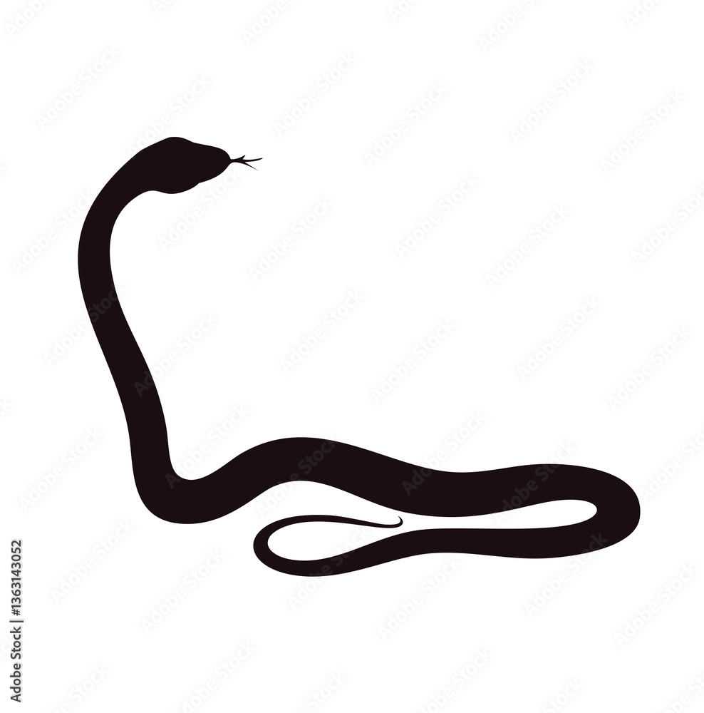 Fototapeta premium snake on white