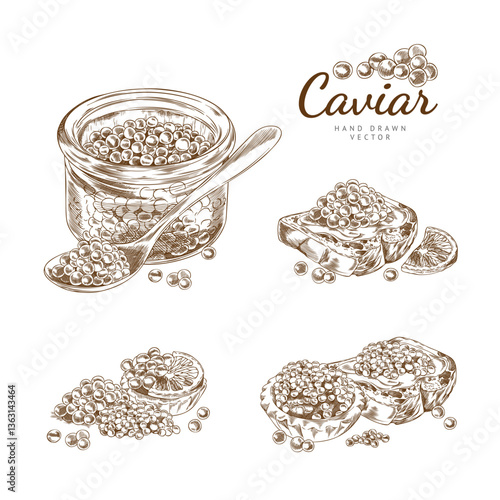 Outline sketch set of illustrations with caviar in a jar, tartlet, sandwich and spoon.