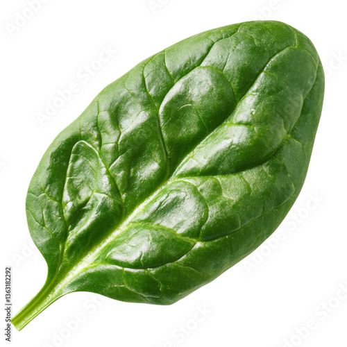 Obraz na płótnie Fresh spinach leaf showcasing vibrant green color and detailed texture for healthy meals w salonie