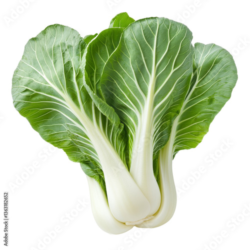 Obraz na płótnie Fresh bok choy ready for cooking in a vibrant kitchen setting w salonie