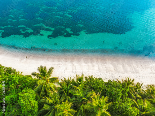 Aerial view of a tropical beach with palm trees and blue sea