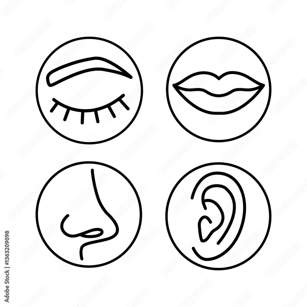 A set of icons for eyes, mouth, nose and ears. Icons of human organs in linear and flat vector design on a white background. Used in design, cosmetology, medicine A set of icons for eyes, mouth, nose and ears. Icons of human organs in linear and flat vector design on a white background. Used in design, cosmetology, medicine