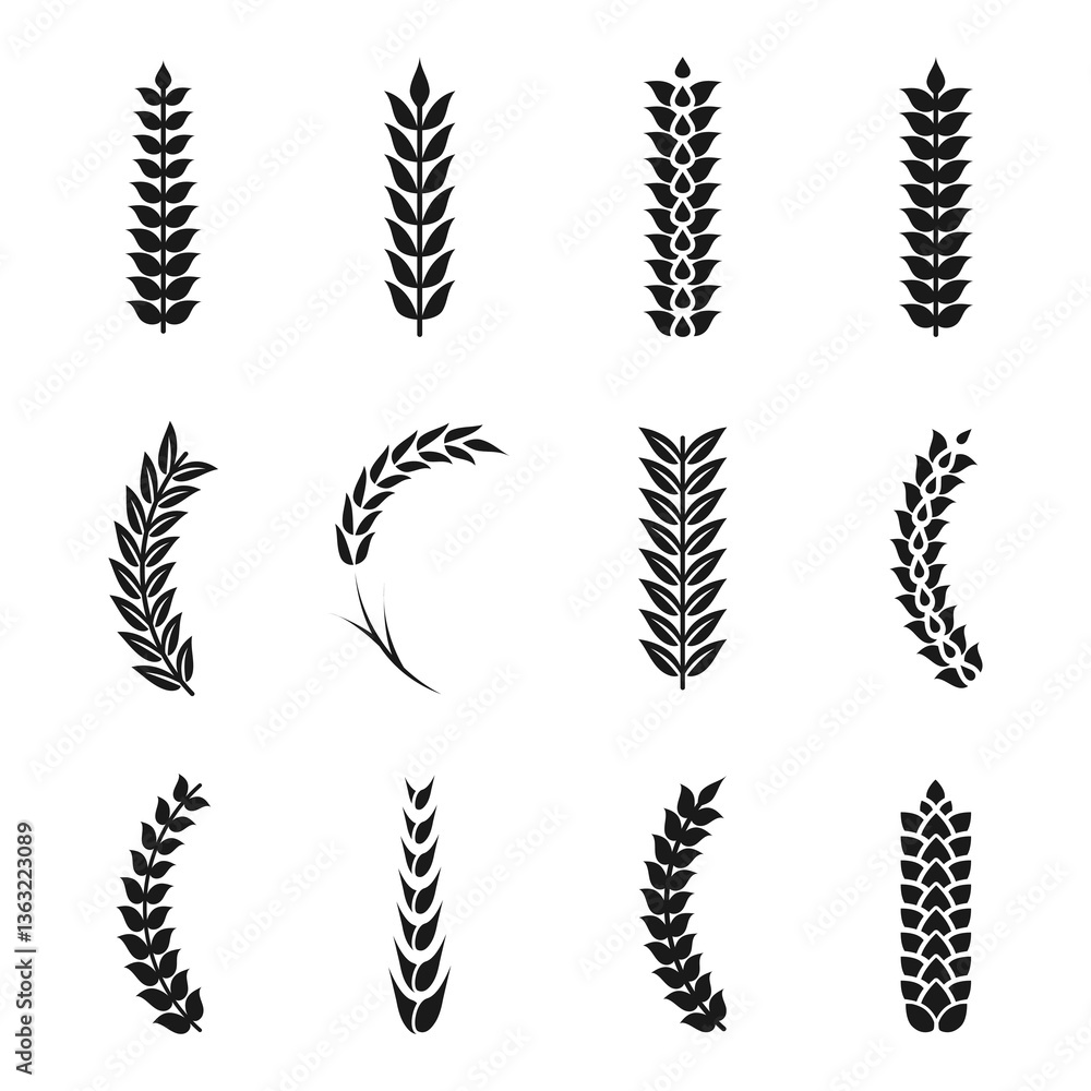 Fototapeta premium Wheat ears collection. Oat, hop and wheat grains isolated on a transparent background