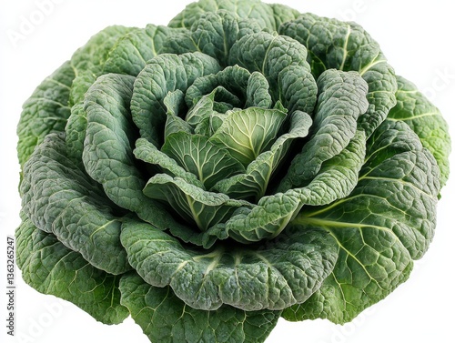 Wallpaper Mural Fresh Savoy Cabbage Head: A Close-Up of Crisp, Green Leaves and Intricate Veins on White Background, Highlighting the Texture and Detail of this Healthy Vegetable Torontodigital.ca