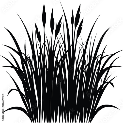 Grass Silhouette Isolated on White Background