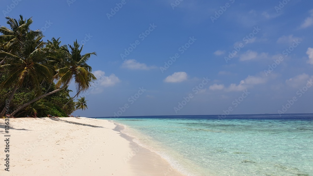 A Tropical Paradise: Turquoise Waters Framed by Palm Trees on a Sandy Beach A Tropical Paradise: Turquoise Waters Framed by Palm Trees on a Sandy Beach