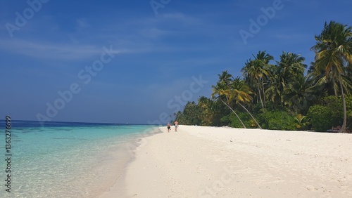  A Tropical Paradise: Turquoise Waters Framed by Palm Trees on a Sandy Beach