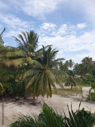 Tropical Maldives Landscape with Coconut Palms and Blue Sky