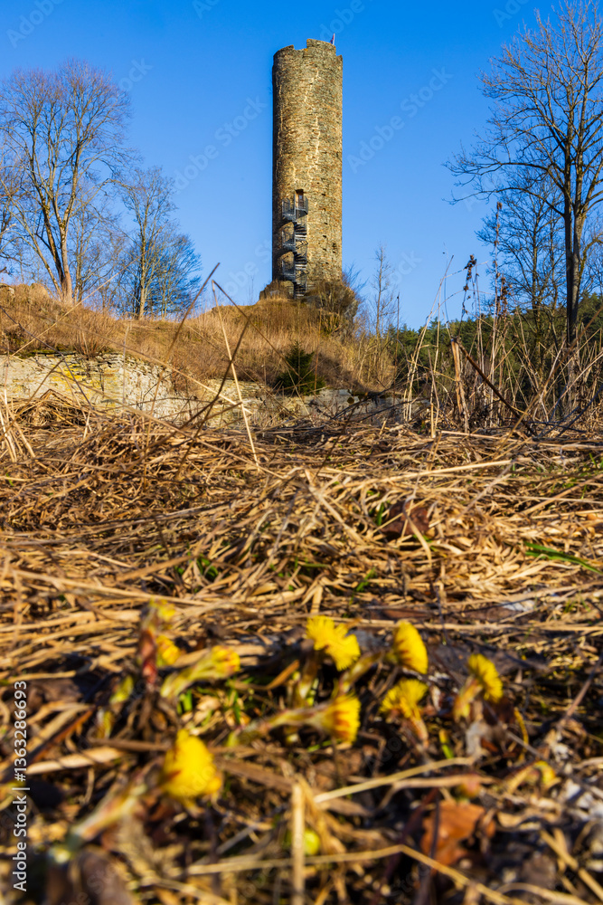 Fototapeta premium Lower and Upper Castles ruins, Podhradi near As, Western Bohemia, Czech Republic