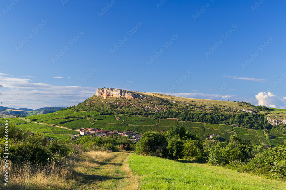Rock of Vergisson with vineyards, Burgundy,France