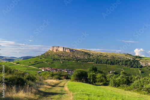 Obraz na płótnie Rock of Vergisson with vineyards, Burgundy,France w salonie
