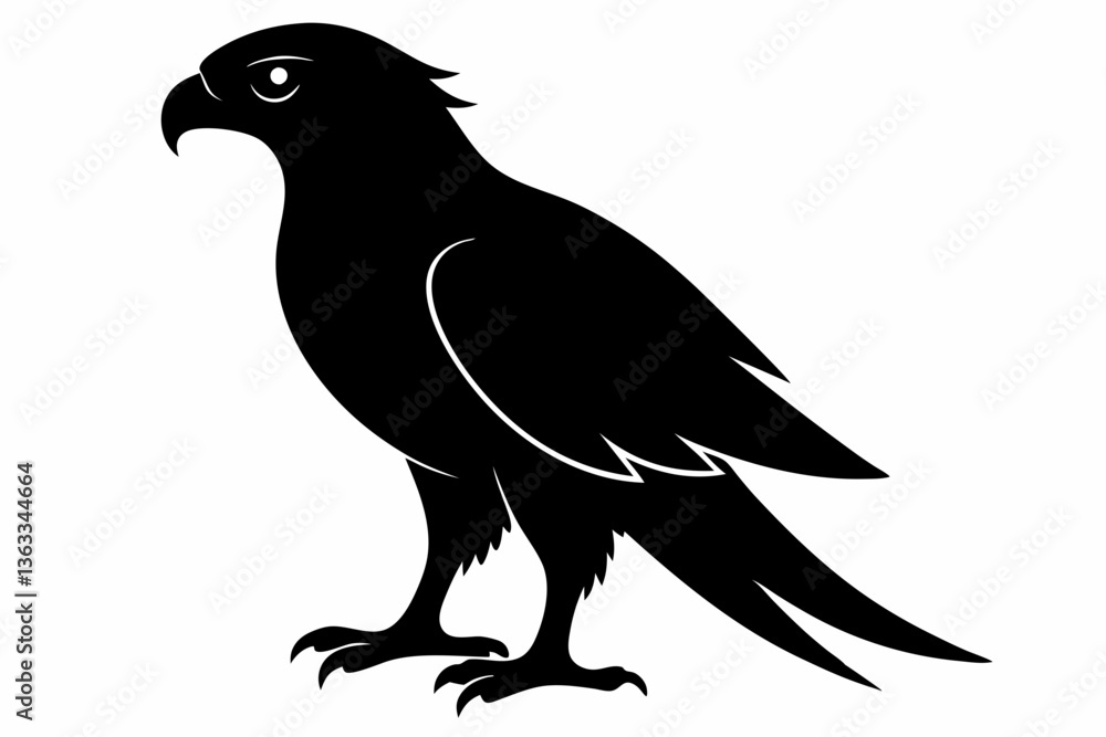 Obraz premium tailed hawk black silhouette vector