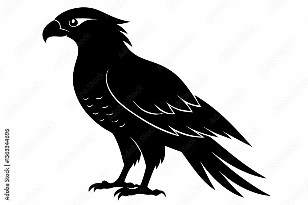 Fototapeta premium tailed hawk black silhouette vector
