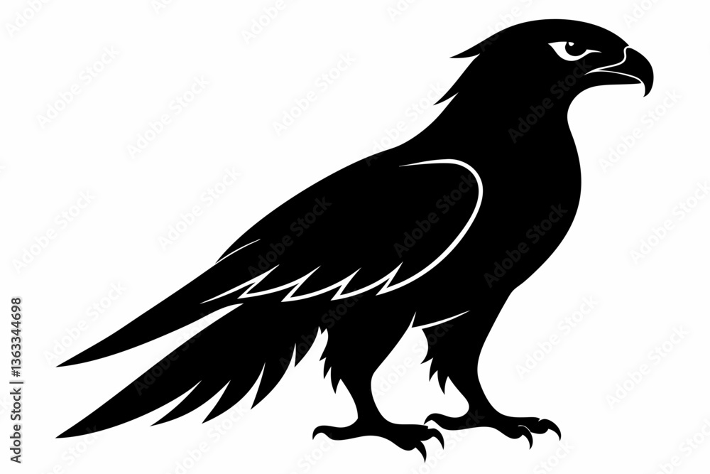 Obraz premium tailed hawk black silhouette vector