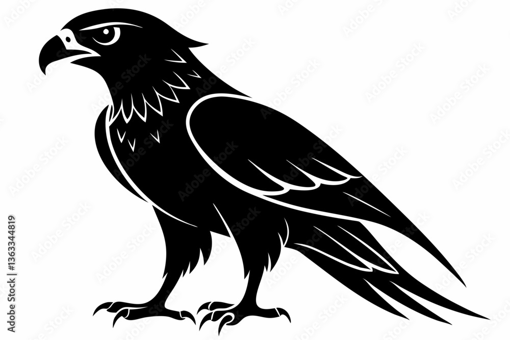 Obraz premium tailed hawk black silhouette vector