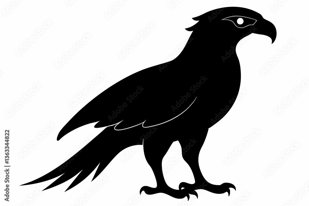 Obraz premium tailed hawk black silhouette vector