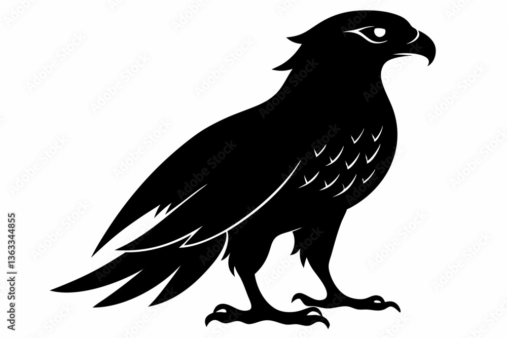 Fototapeta premium tailed hawk black silhouette vector