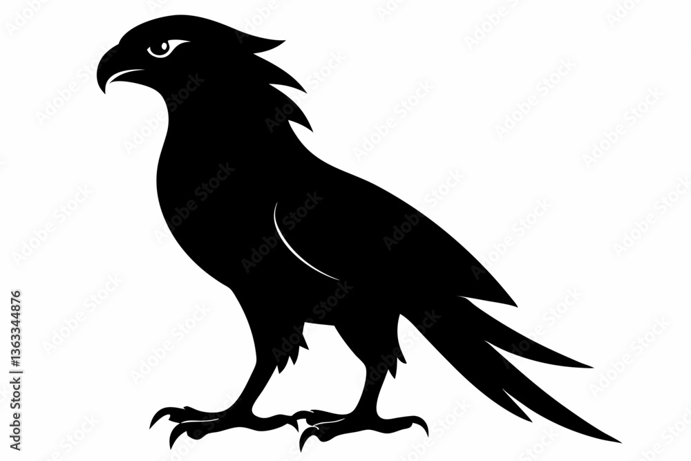 Obraz premium tailed hawk black silhouette vector