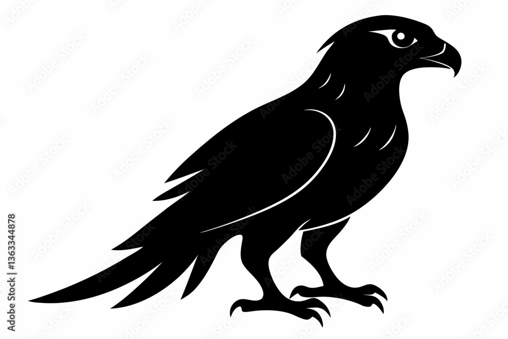 Obraz premium tailed hawk black silhouette vector