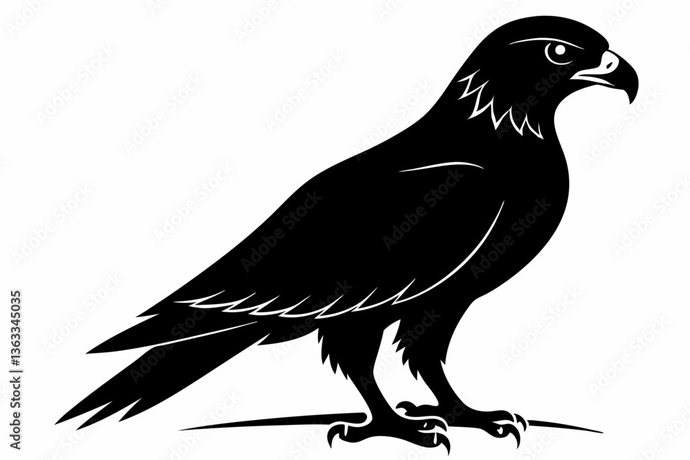 Obraz premium tailed hawk black silhouette vector