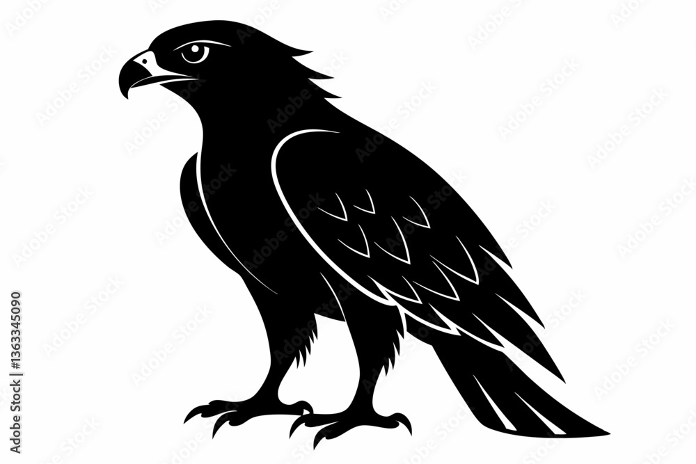 tailed hawk black silhouette vector tailed hawk black silhouette vector