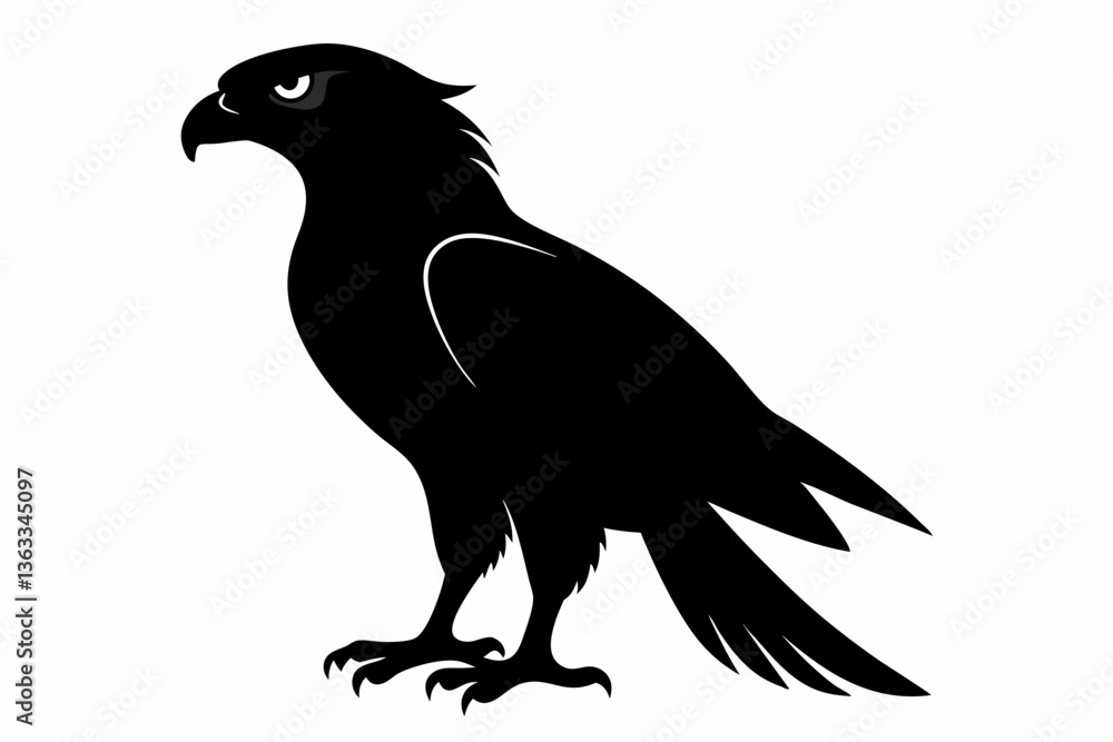Fototapeta premium tailed hawk black silhouette vector