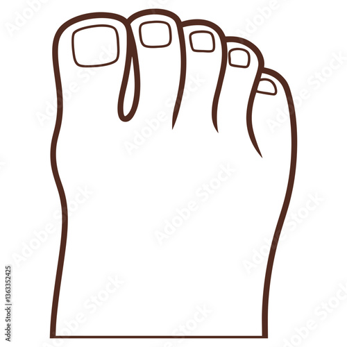 Outlined Foot Toes Detail on White Background Brown Outline