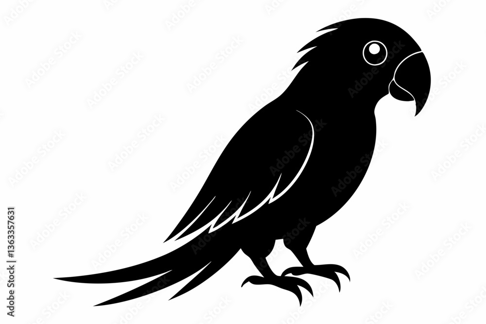 Fototapeta premium parrot silhouette black silhouette vector