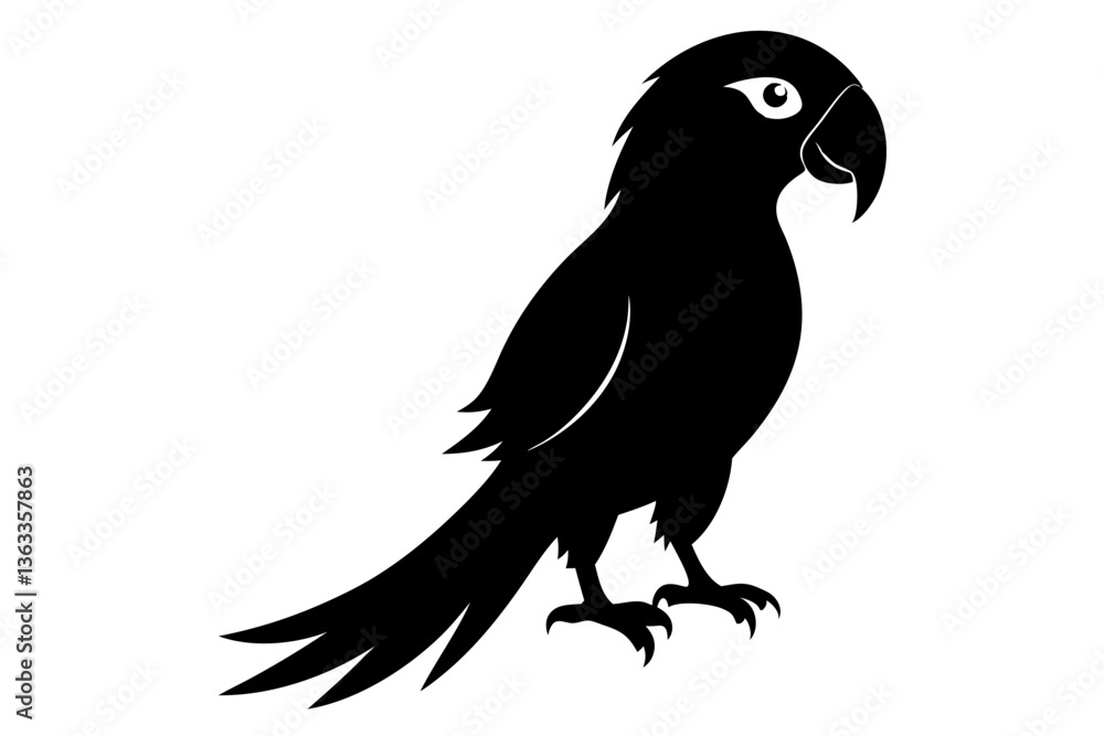 Fototapeta premium parrot silhouette black silhouette vector