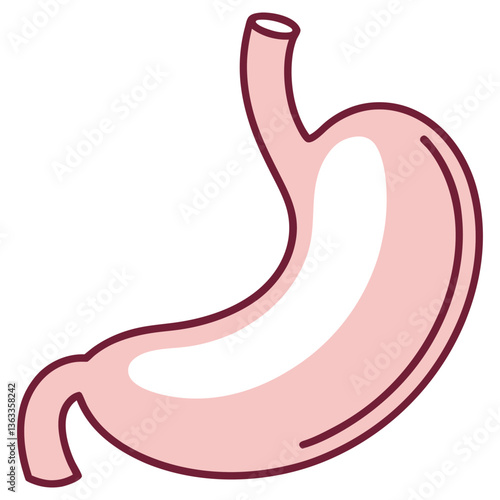 Cartoon Stomach Anatomy, Digestive Organ with Transparent Background Art