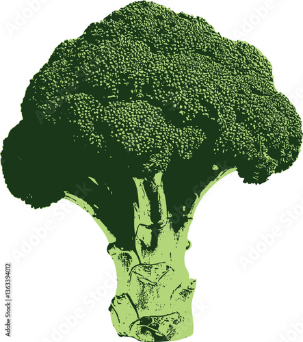 Highly Textured Broccoli in a Pop Art Style – a bold, high-contrast broccoli design with graphic shading and dynamic tones. Perfect for eye-catching posters, funky food blogs, and nutrition campaigns.