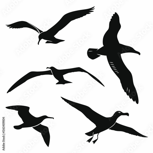 albatross icon set black silhouette vector bundle