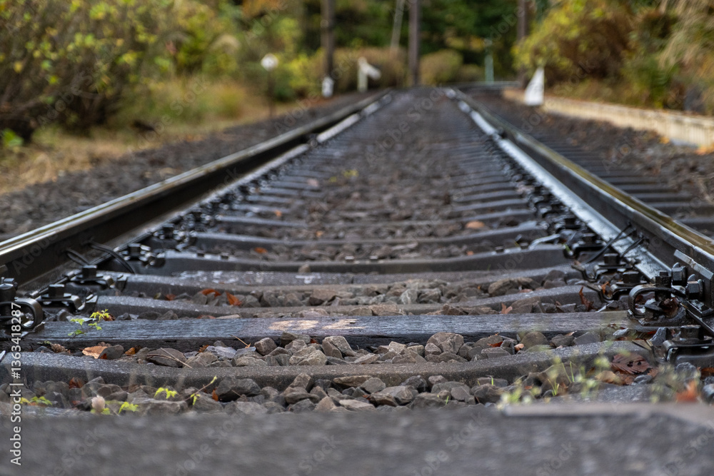Macro-style image of train tracks from a low angle, showing texture, gravel, and fall surroundings Macro-style image of train tracks from a low angle, showing texture, gravel, and fall surroundings