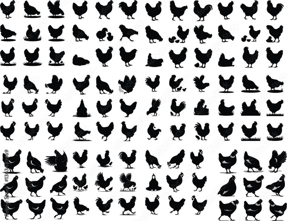 Set of vector rooster and chicken black silhouettes isolated on white background. Domestic animals silhouette of a chicken on white Set of hen silhouette, chicken silhouettes Set of vector chicken bla Set of vector rooster and chicken black silhouettes isolated on white background. Domestic animals silhouette of a chicken on white Set of hen silhouette, chicken silhouettes Set of vector chicken bla