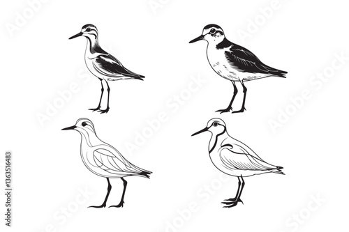 Wallpaper Mural Shorebird Illustration Set Wading Bird Silhouette and Line Art  Torontodigital.ca