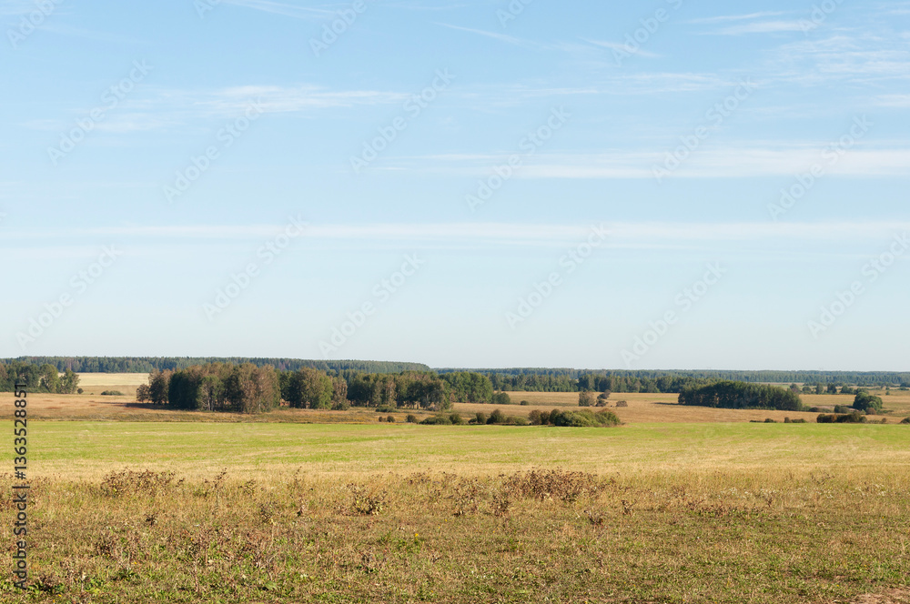 Obraz premium Summer country landscape, fields of mown grass, groups of trees in the distance, sunny day