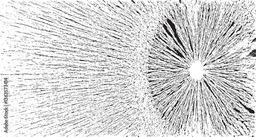 Circular starburst explosion texture. Distressed uneven grunge background. Abstract vector illustration. Overlay to create interesting effect and depth. Isolated on white background.