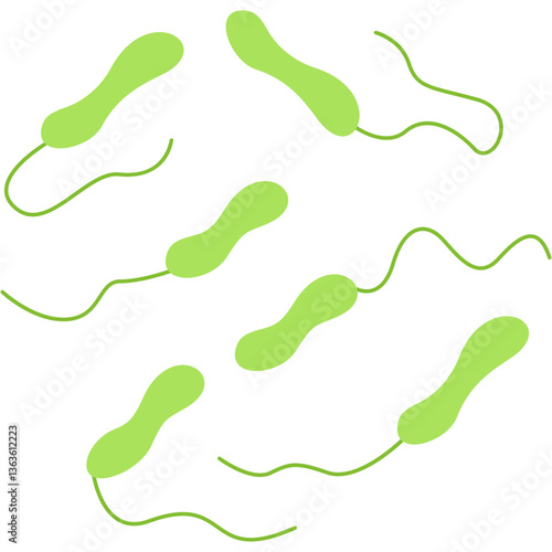 Vibrio Cholerae icon