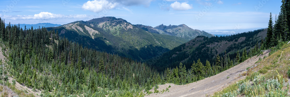 View from the Hurricane Ridge, Olympic National Park, WA